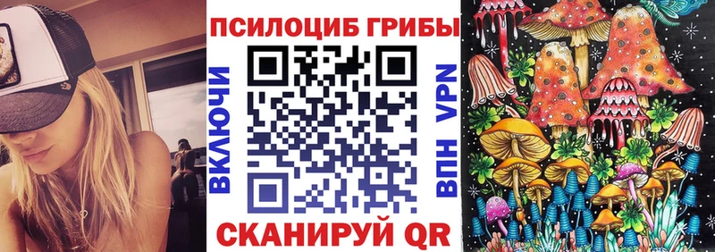 Купить закладки  Белокуриха  Псилоцибиновые грибы Magic Shrooms 